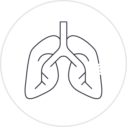 Pulmones