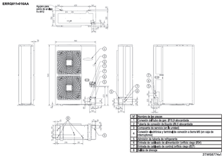 ERRQ-AAV1_dim_3TW58774-1_ES download