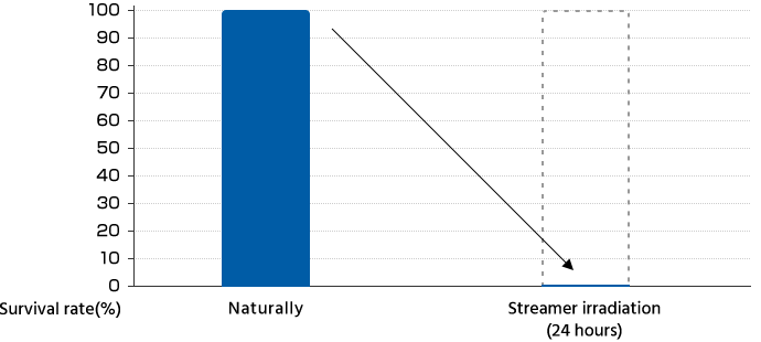 Suppression of allergic effects after 24 hours of Streamer irradiation