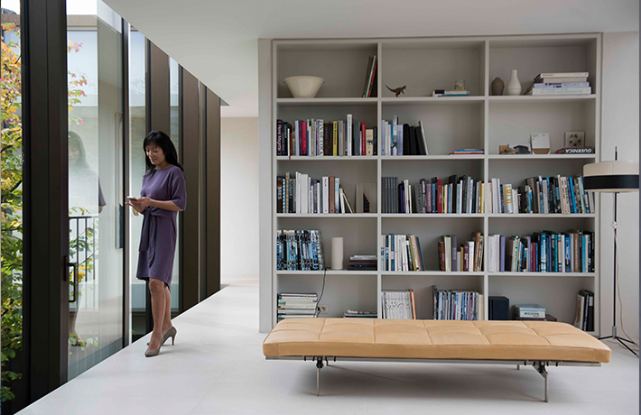Modern home library