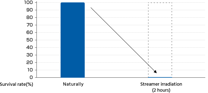 Índice de supervivencia de los bacilos de la bacteria moraxella después de 2 horas de irradiación con la unidad Streamer