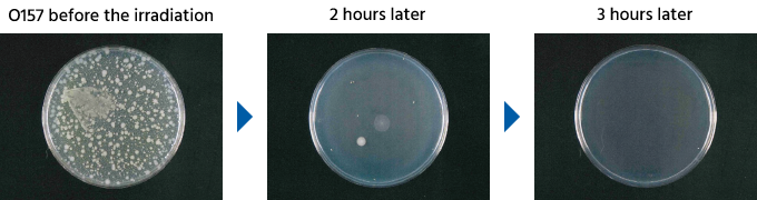 Streamer: efecto de eliminación frente a la cepa O157 con dos unidades Streamer