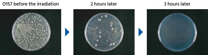 Streamer: efecto de eliminación frente a la cepa O157 con una unidad Streamer