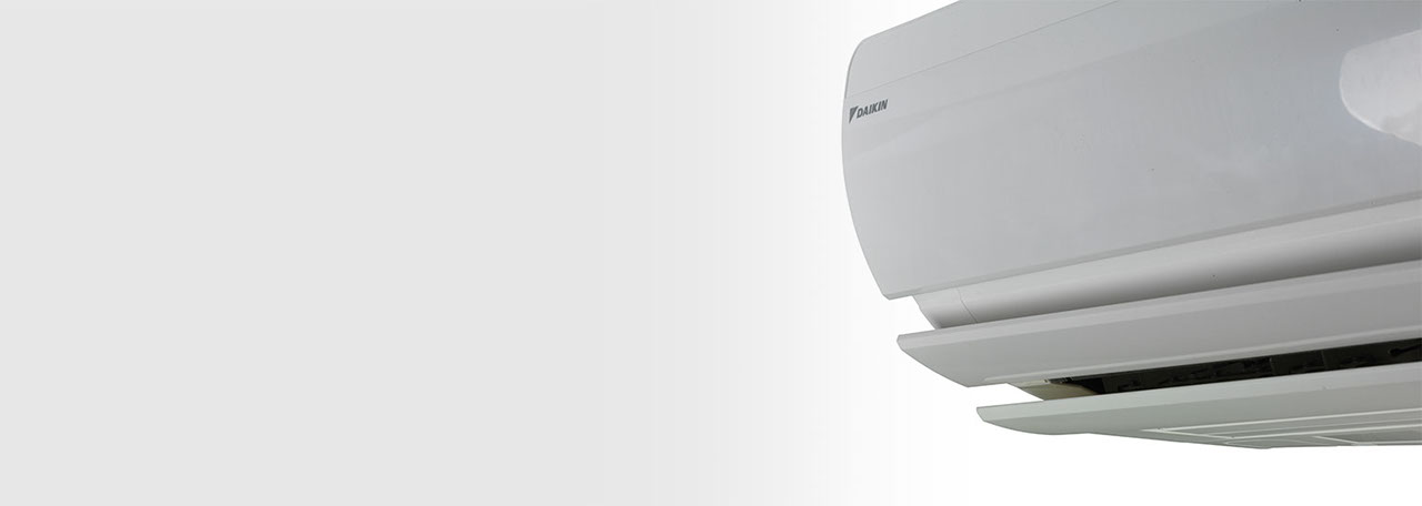 Primer plano de una unidad Ururu Sarara.